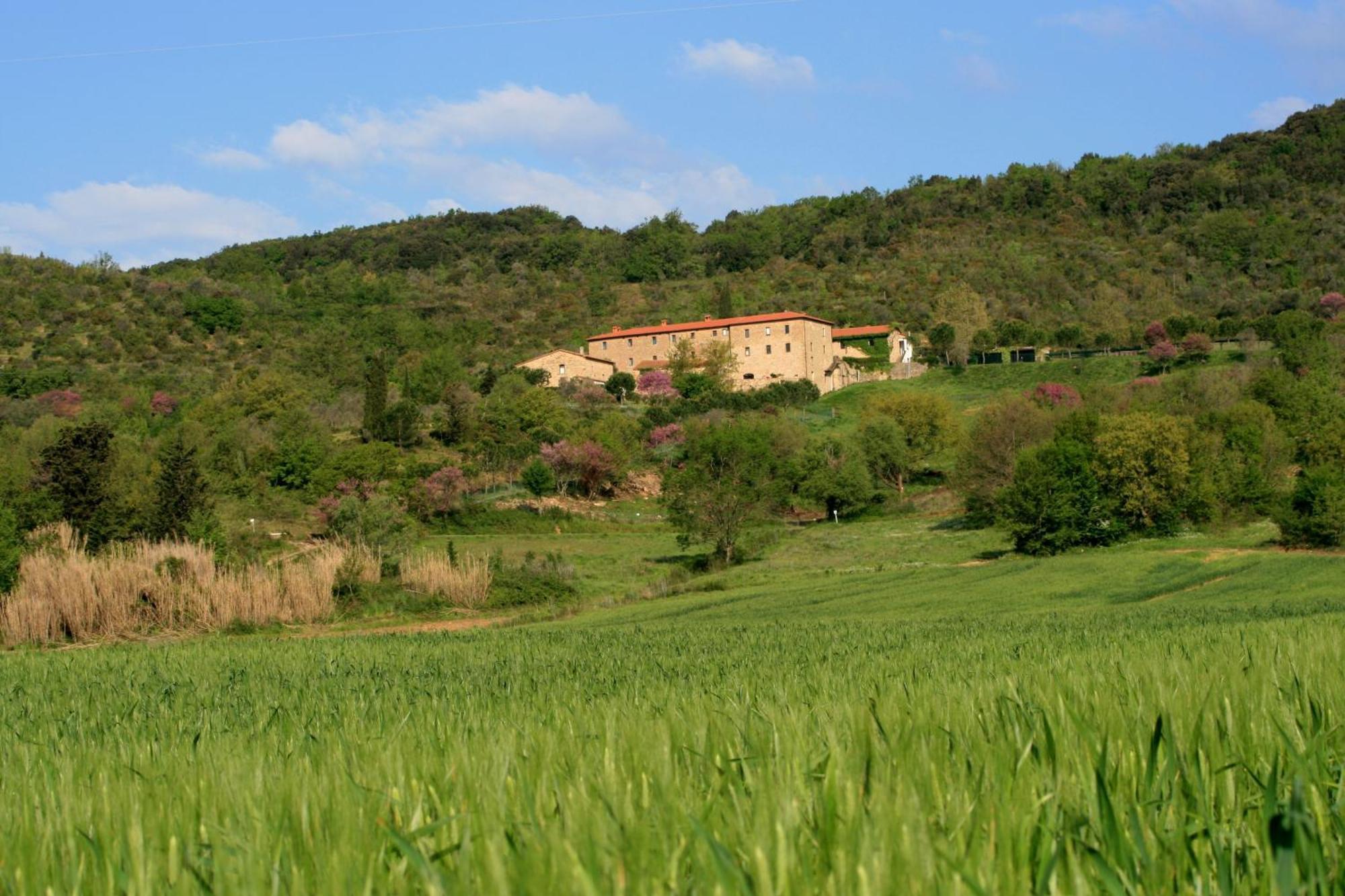 Monterotondo  Agriturismo San Ottaviano المظهر الخارجي الصورة