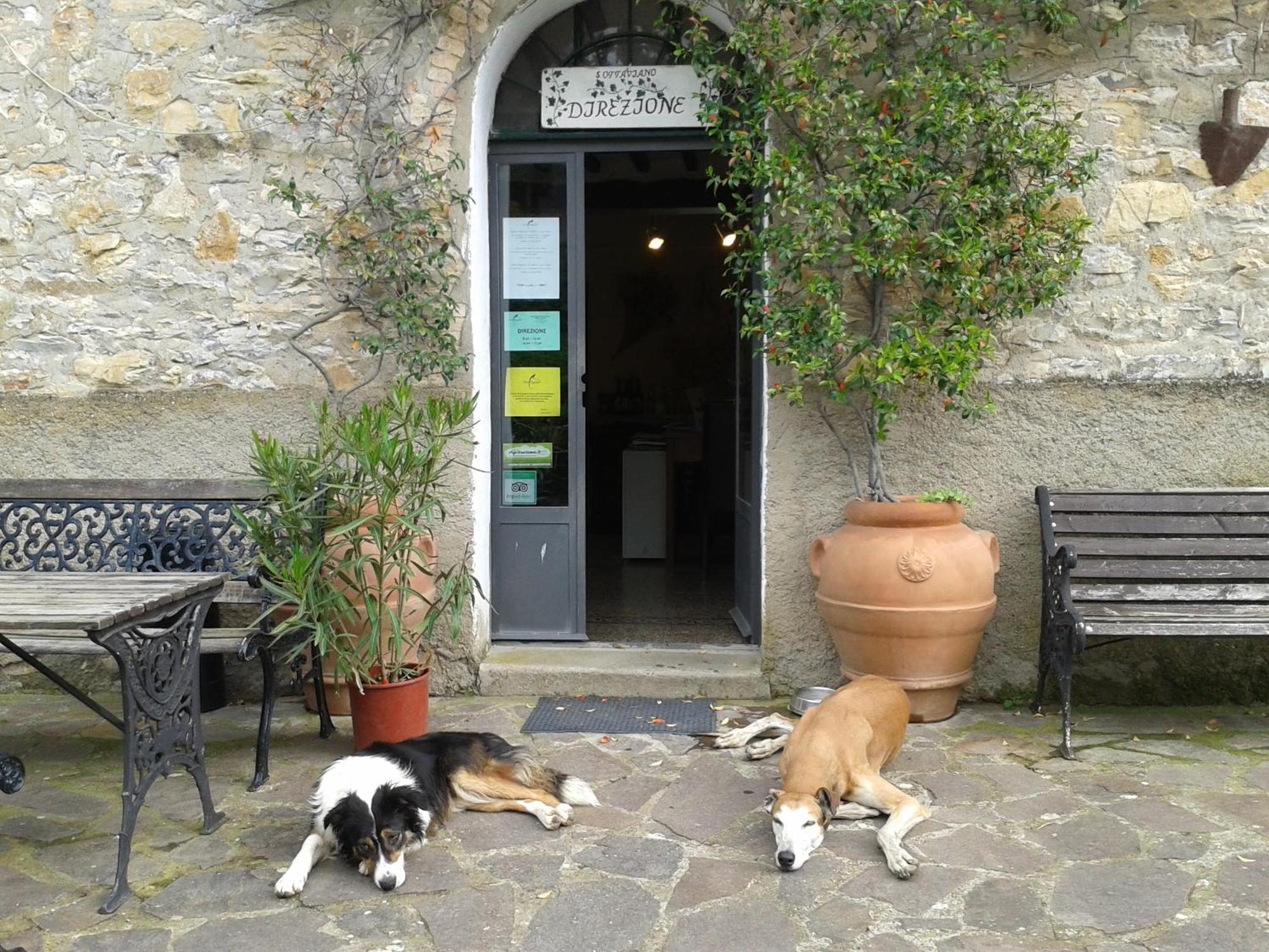 Monterotondo  Agriturismo San Ottaviano المظهر الخارجي الصورة